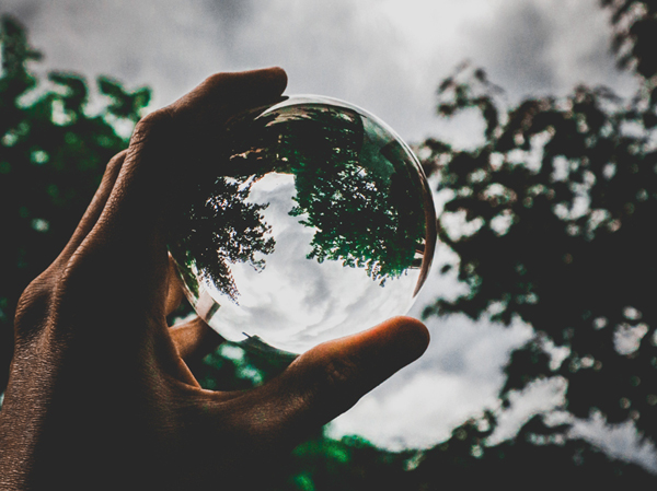 Main tenant une boule en verre reflétant des arbres, à l'image de la planète